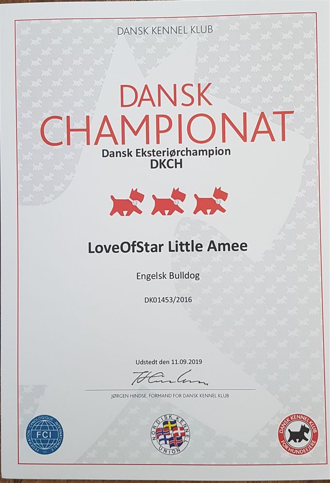 Dansk Championat 2019 🇩🇰 🏆